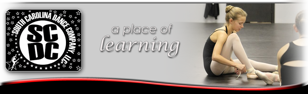 South Carolina Dance Company is a place of learning.