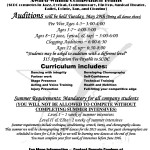 South Carolina Dance Company's 2012-2013 Company Auditions