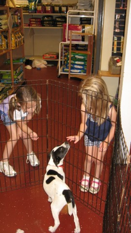 Pets Inc